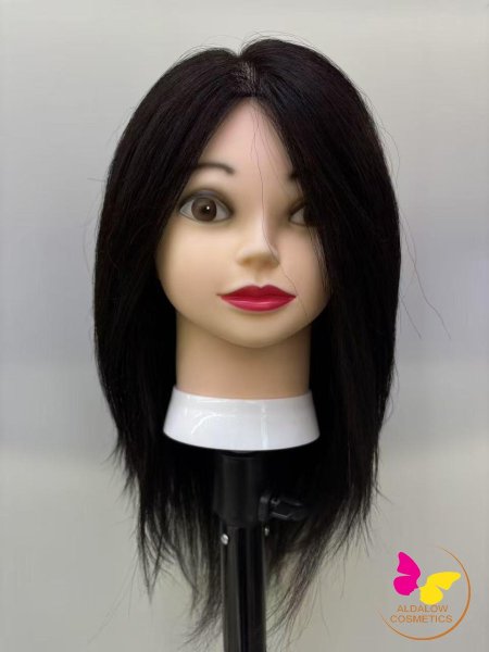 راس لعبة شعر طبيعي ستاتي للتدريب